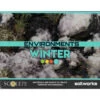 Environments: Winter -Wizards Toy Shop sen 004