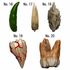 D&D Icons Of The Realms: Teeth Of Dahlver-Nar - Bite-sized Artifacts -Wizards Toy Shop wzk96122 5